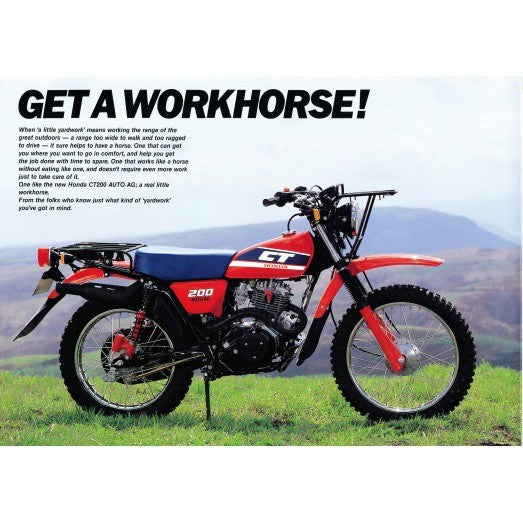 Sticker Decal CT200 Auto AG 1985 Blue strip side cover tank (Free shipping) vintage_bike_store